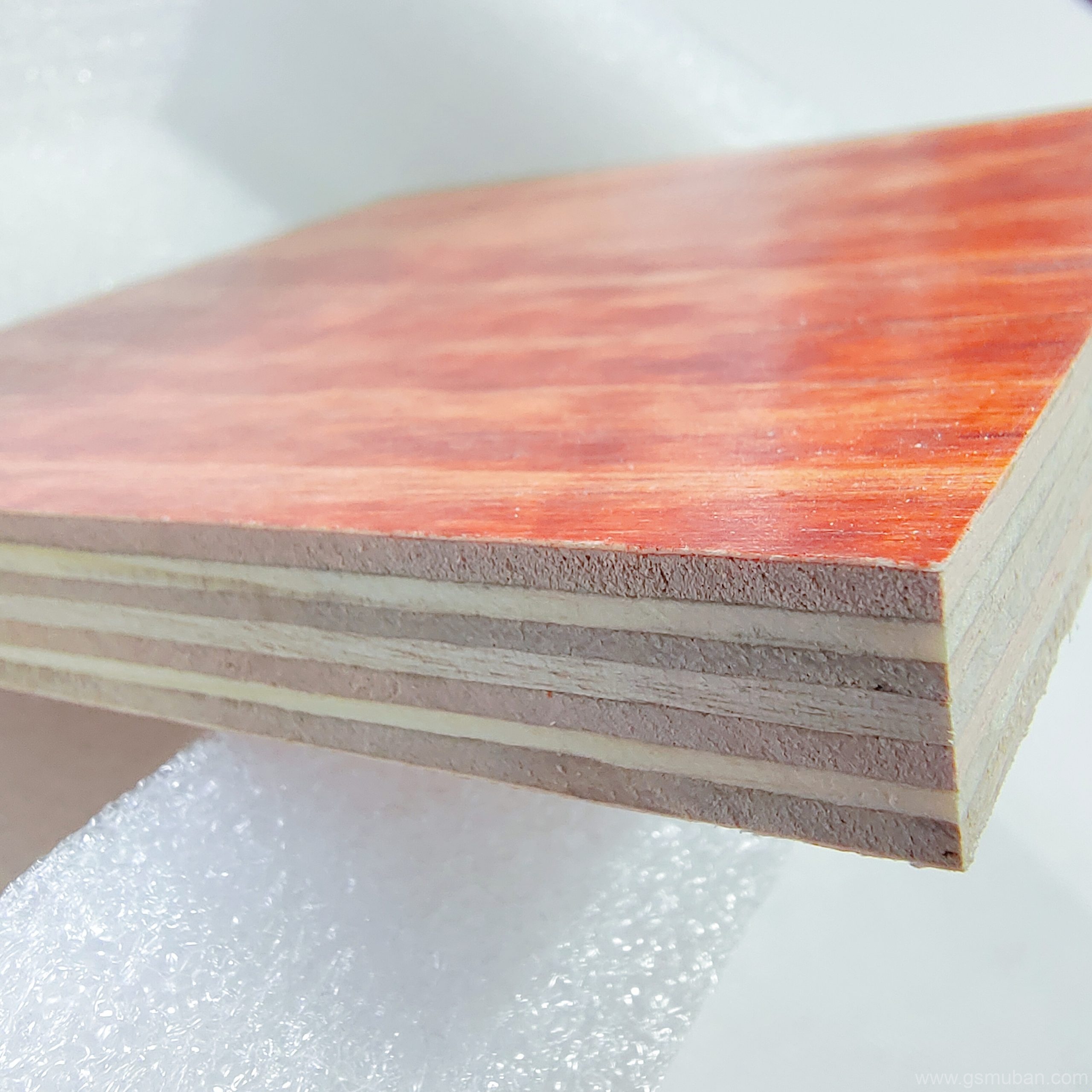 2025年建筑模板市場(chǎng)現(xiàn)狀與未來展望